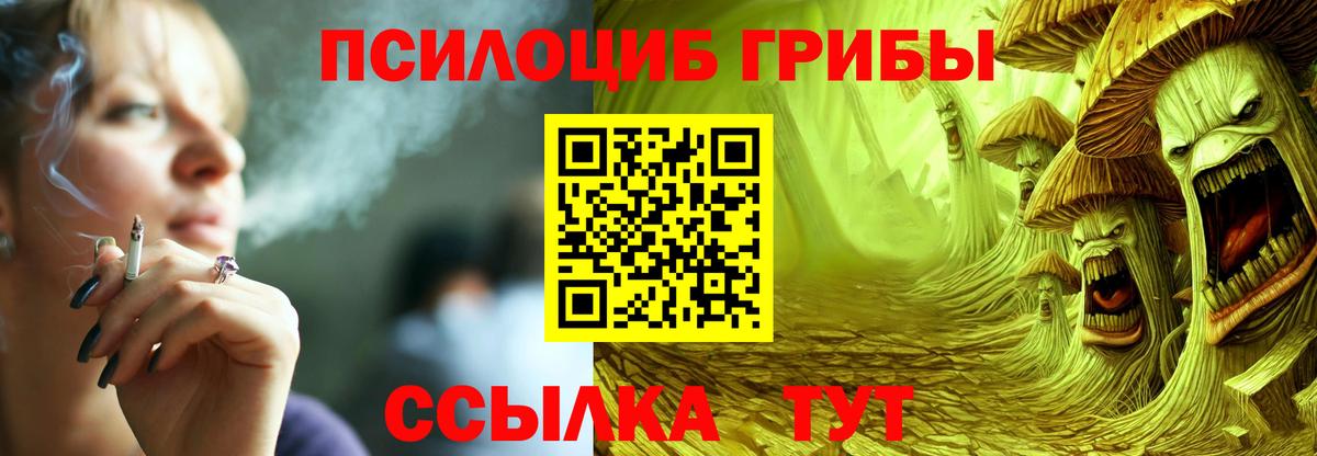 Бошки Шишки Клинцы