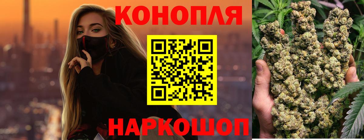 Бошки Шишки план Клинцы